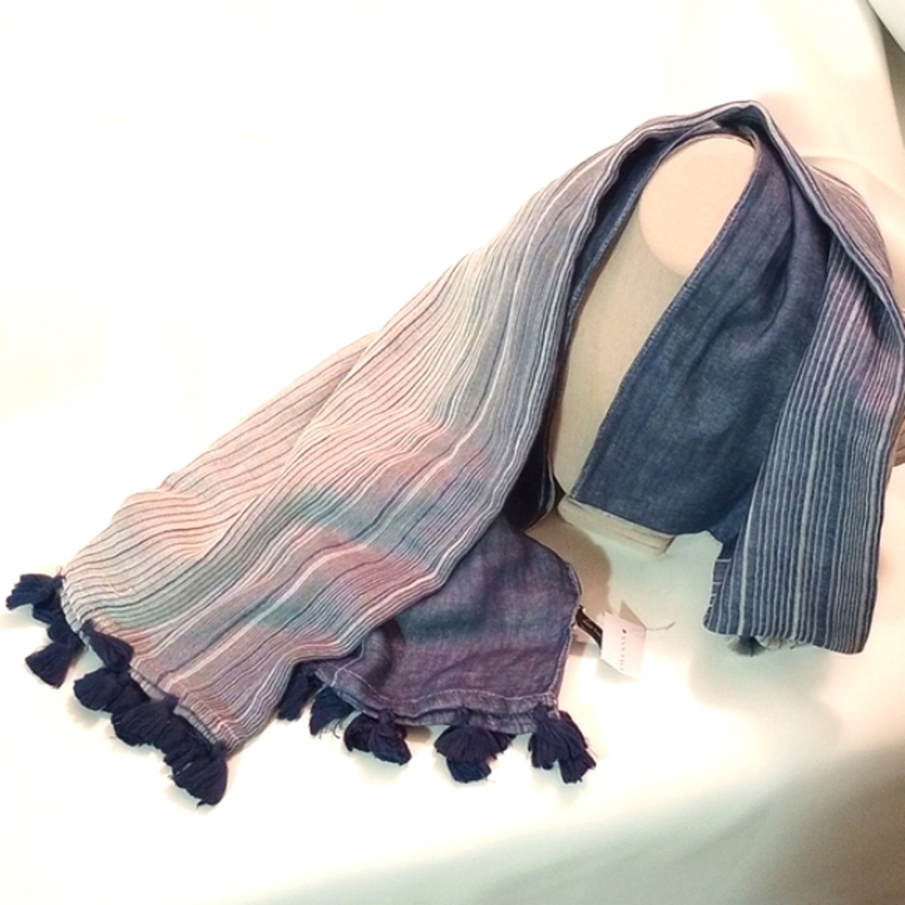 Ann Taylor reversible blue and gray scarf with tassels NWT